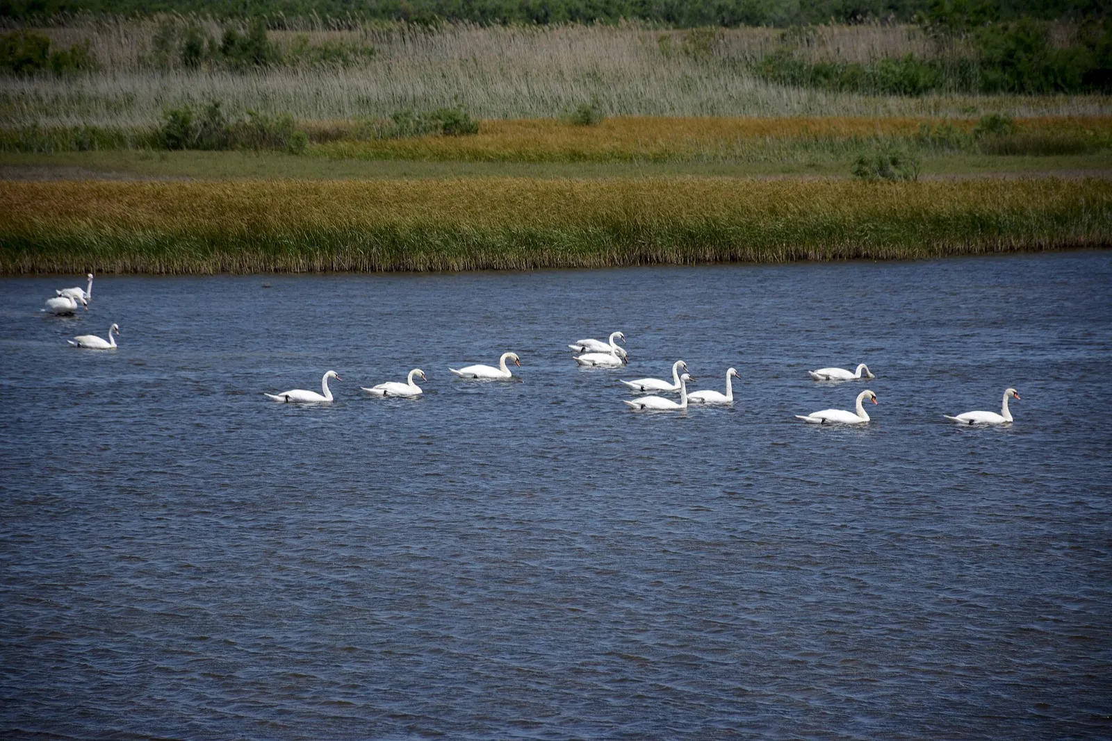 Lake Tychero