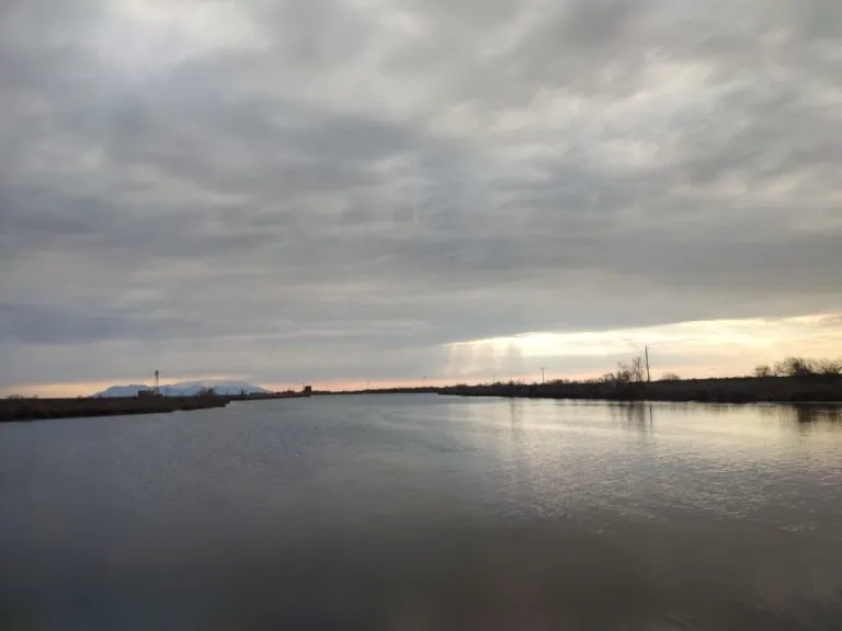 Evros Delta Boat Tour
