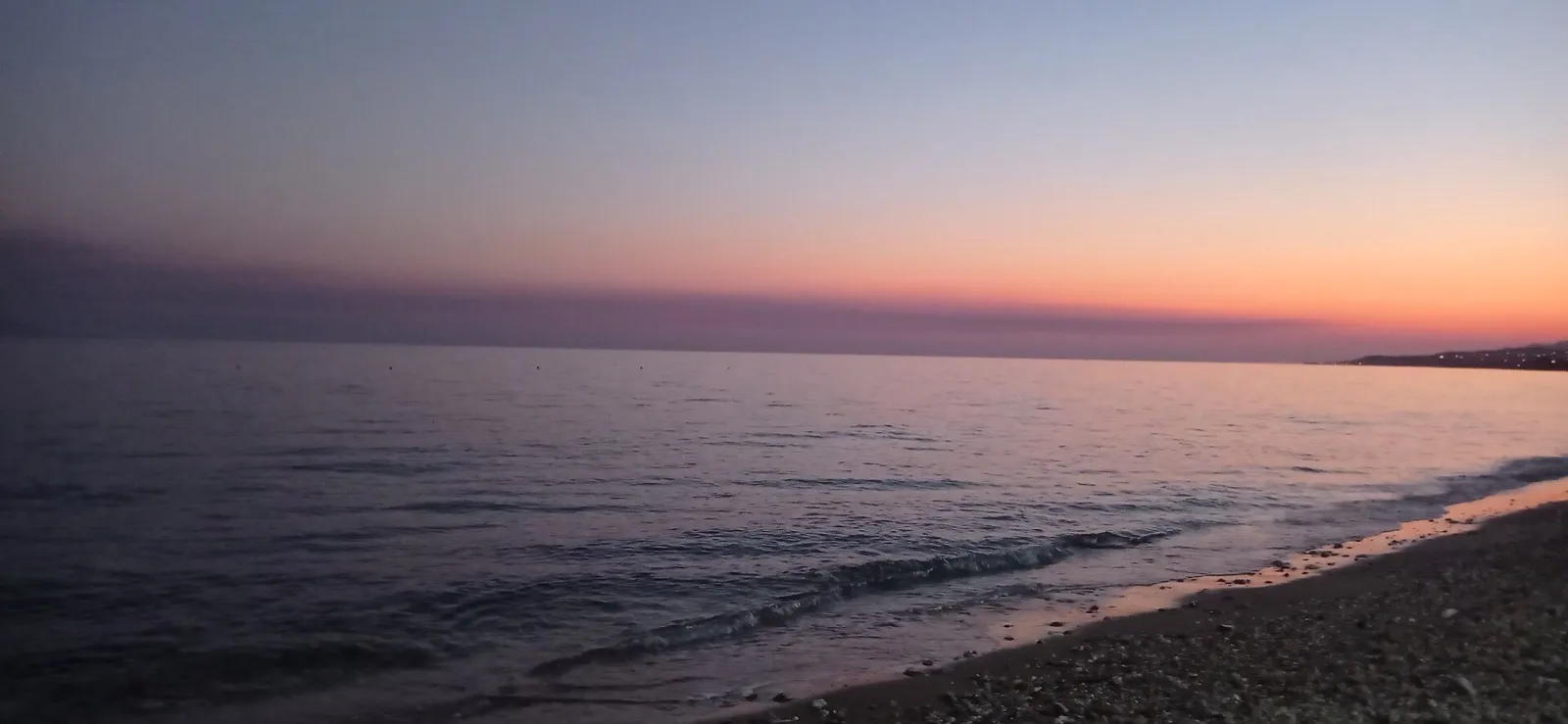 Bringing Your Dog to Alexandroupolis: Pet-Friendly Stays