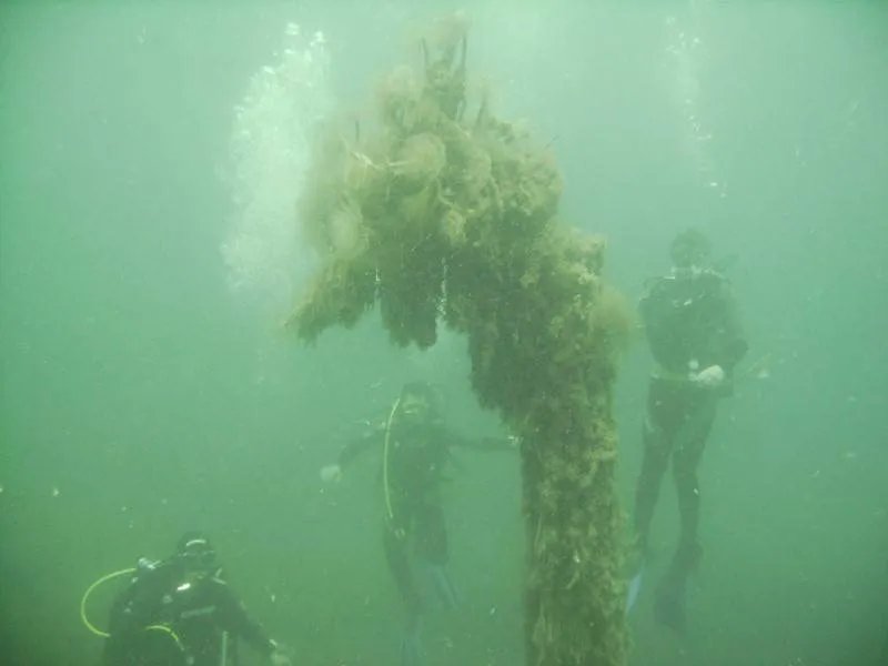 Scuba Diving with Go Extreme Adventure Club