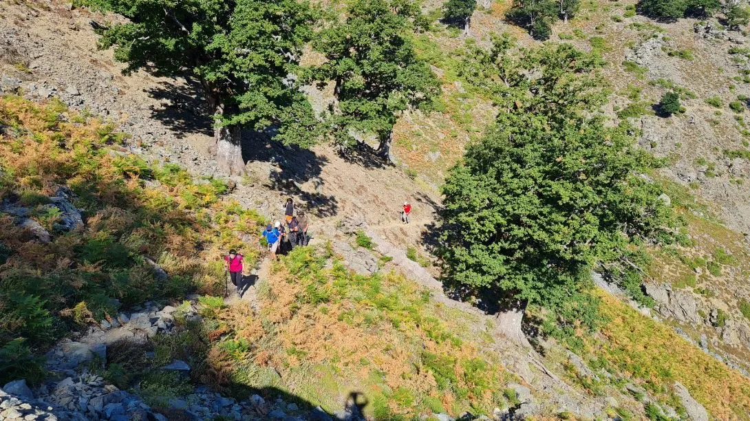 Guided Hiking on Mount Saos, Samothraki