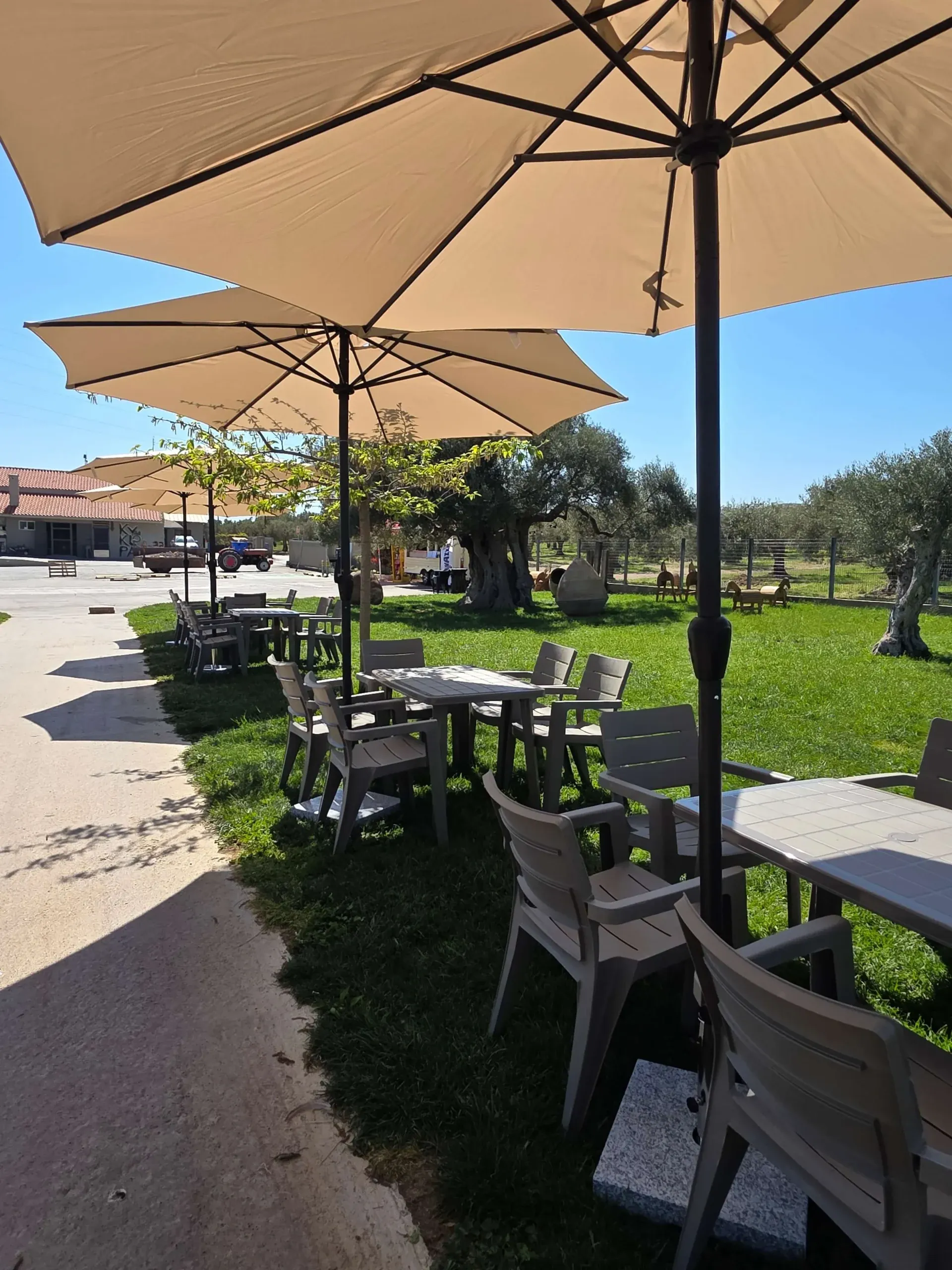 Kyklopas Olive Mill Tour