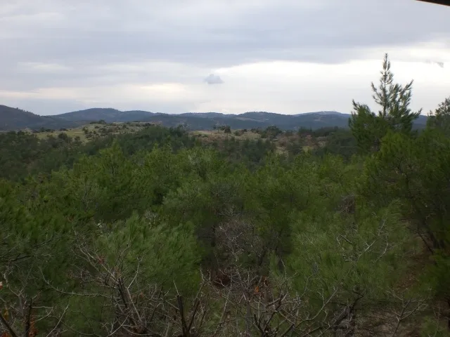 Nipsa Forest & Lake