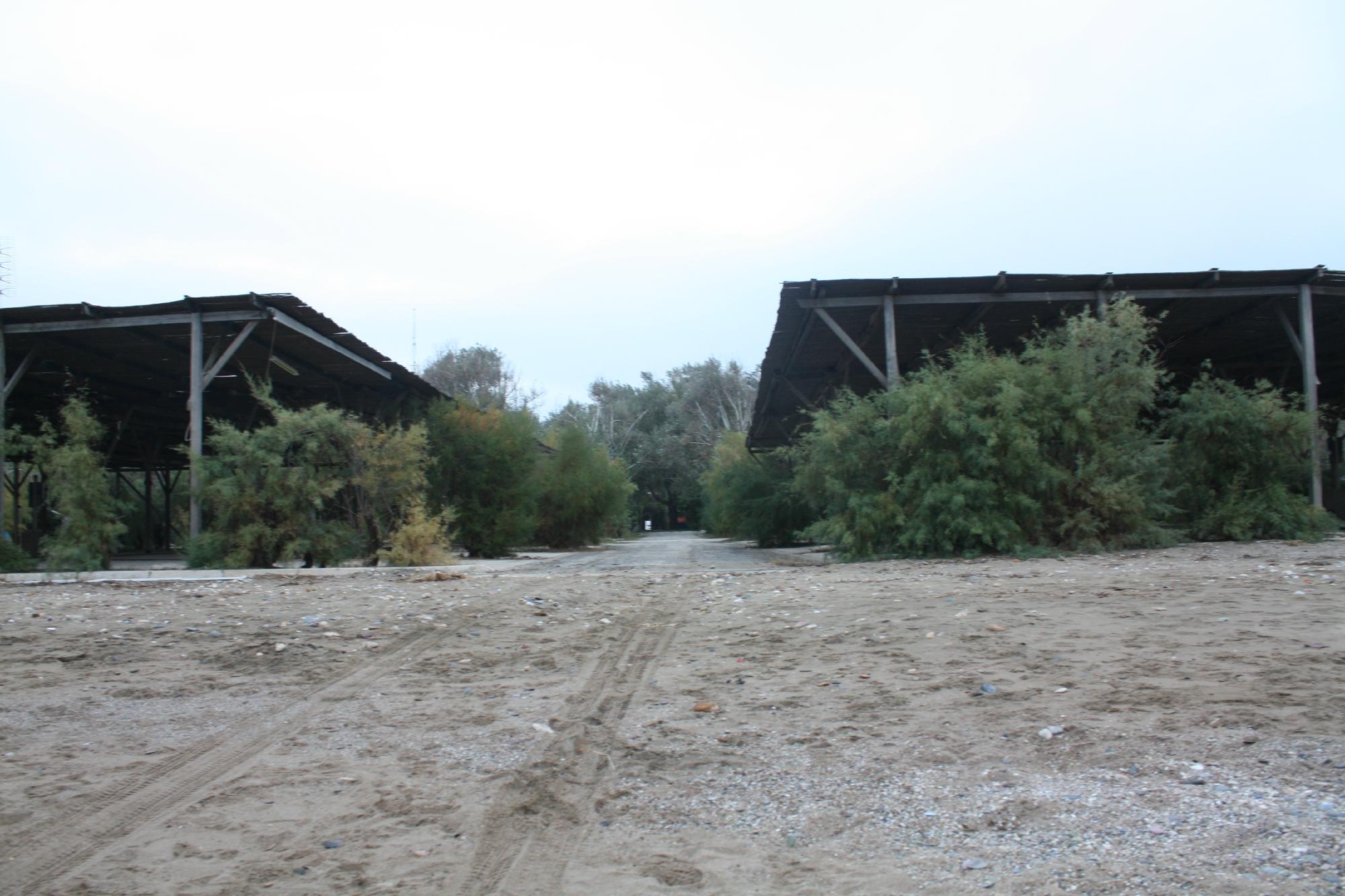 Campsite Municipal of Alexandroupolis