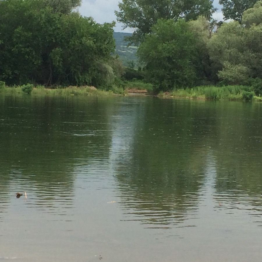 Ardas River