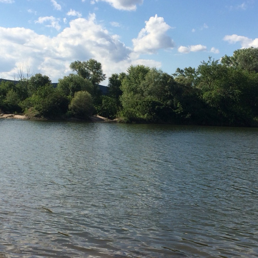 Ardas River