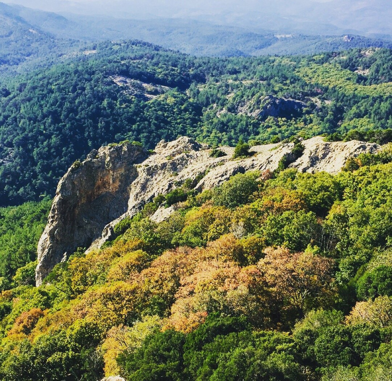 Dadia Forest National Park