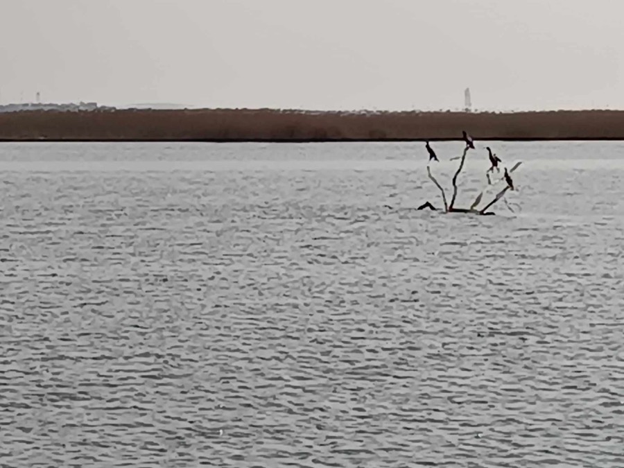 Evros Delta Wetlands