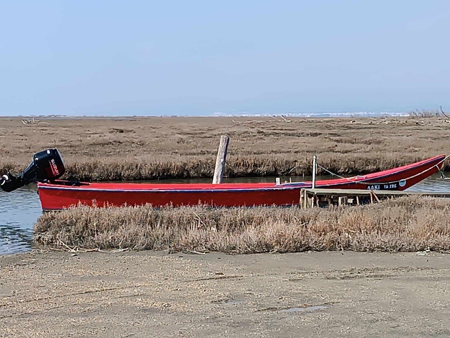 Evros Delta Wetlands