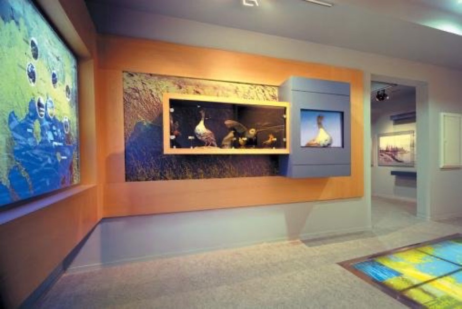 Alexandroupoli Natural History Museum