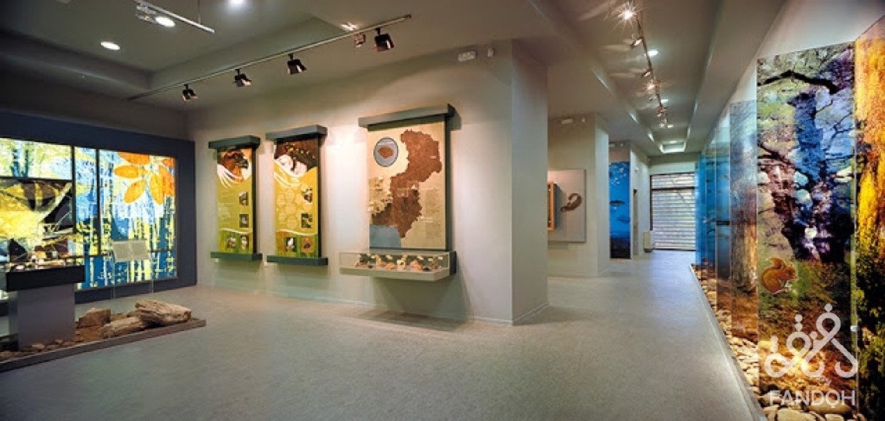 Alexandroupoli Natural History Museum