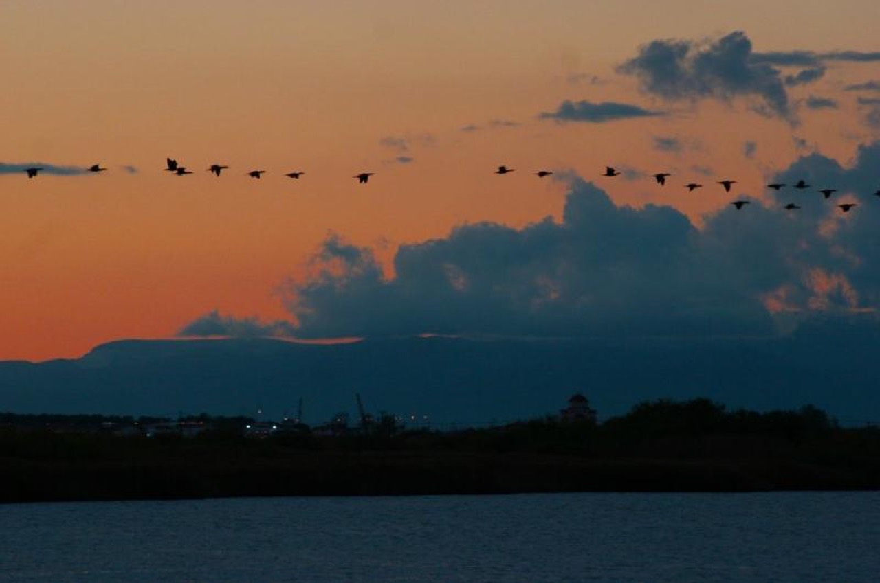 Vistonida Lake