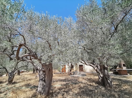 A tastefully decorated rustic country house Pet friendly - ideal for families