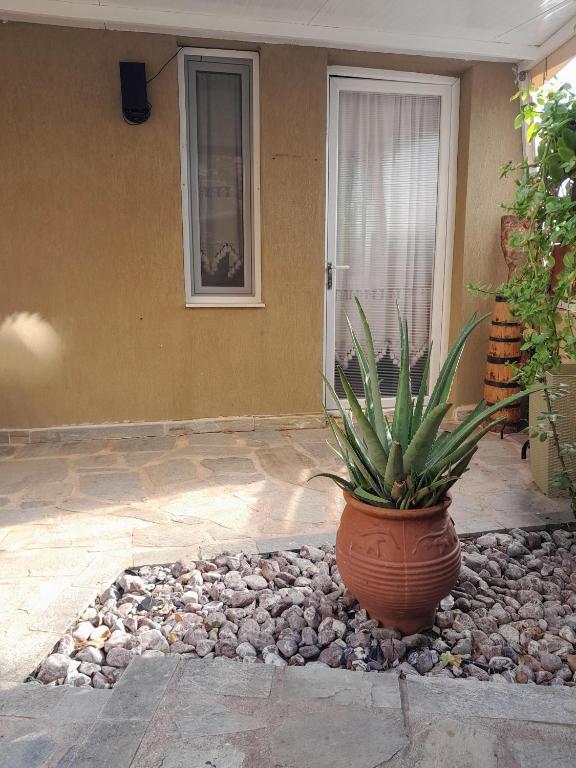 Helen House Alexandroupoli