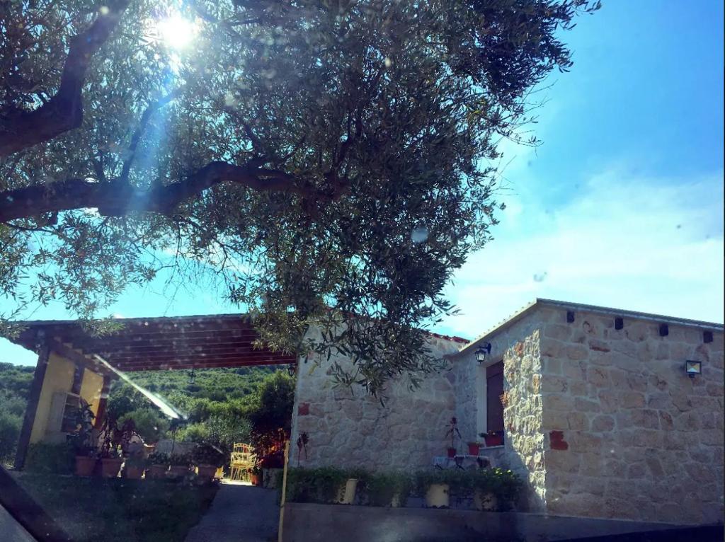 Niki's Country House